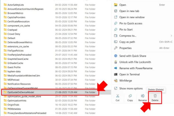 How to turn off Gemini Nano on Chrome to free up 4GB of memory 18 Delete the OptGuideOnDeviceModel folder