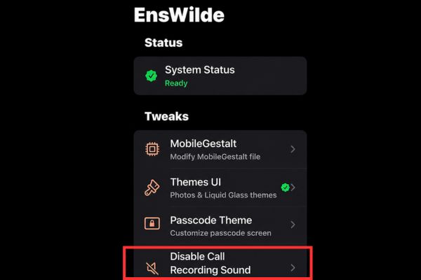Find the item "Disable Call Recording Sound"