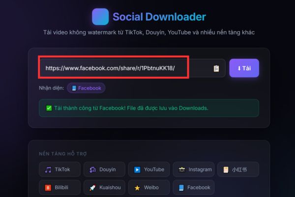 Instructions for using the video download tool without watermark