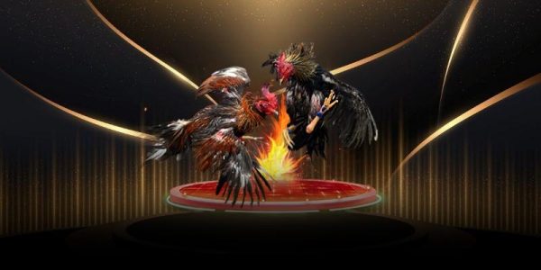 Cách thực hiện Đá gà miền Trung