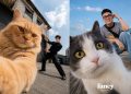 Cách tạo ảnh selfie cùng thú cưng hài hước cho các con sen 8 cách tạo ảnh selfie cùng thú cưng