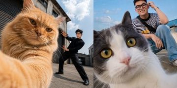 cách tạo ảnh selfie cùng thú cưng