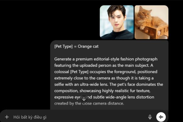 Dán prompt cùng ảnh bản thân và pet vào