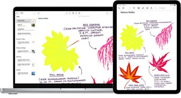 Sự thay đổi ngoạn mục trên ứng dụng Notes của Mac