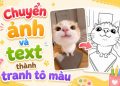 Cách chuyển ảnh và văn bản thành tranh tô màu cho bé siêu hay 9 chuyển ảnh và văn bản thành tranh tô màu