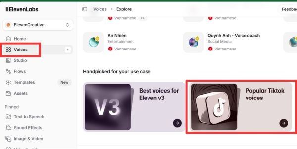 Select Popular Tiktok voices