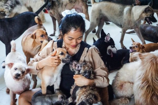 Nguồn gốc ra đời của PetMatch