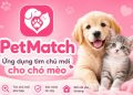 Ứng dụng nhận nuôi chó mèo