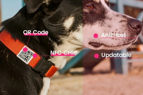 Tích hợp vòng cổ NFC tìm thú cưng thất lạc