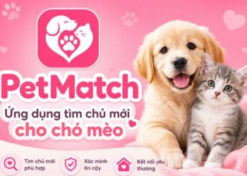 Ứng dụng nhận nuôi chó mèo