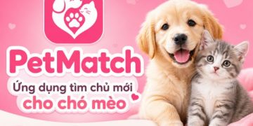 Ứng dụng nhận nuôi chó mèo