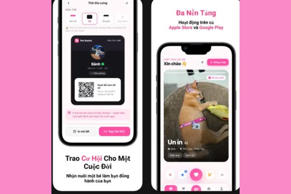 Thông điệp nhân văn từ nhà phát triển