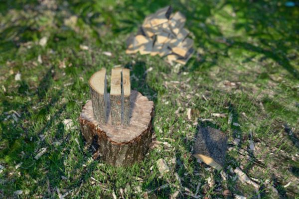Vì sao bạn nên chơi thử giả lập bổ củi 3D?