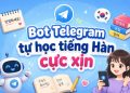 bot Telegram học tiếng Hàn