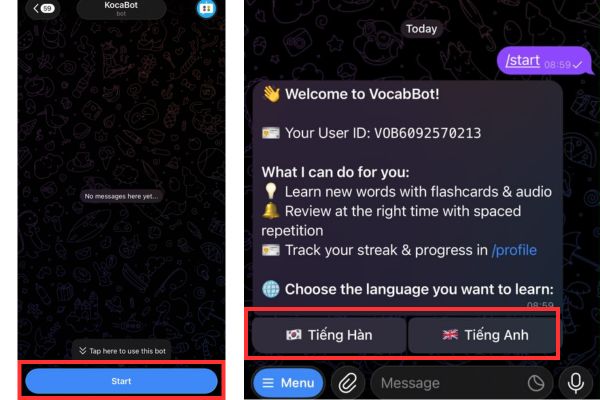 Hướng dẫn cách sử dụng bot Telegram học tiếng Hàn