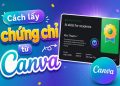 cách lấy chứng chỉ từ Canva