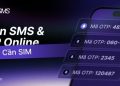 HeroSMS là gì? Cách thuê số điện thoại ảo nhận SMS OTP online không cần SIM 5