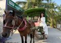 Tám Sạch - Đồng hành cùng không gian xanh của mọi gia đình Việt 10 Tám Sạch - Đồng hành cùng không gian xanh của mọi gia đình Việt 8