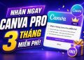 Hướng nhận Canva Pro 3 tháng miễn phí, không cần thẻ ngân hàng 12 Canva Pro 3 tháng miễn phí
