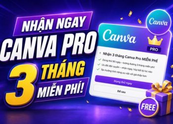 Hướng nhận Canva Pro 3 tháng miễn phí, không cần thẻ ngân hàng 15 Canva Pro 3 tháng miễn phí