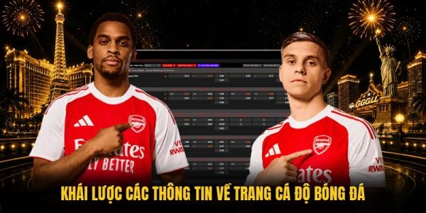 Khái lược các thông tin về trang cá độ bóng đá