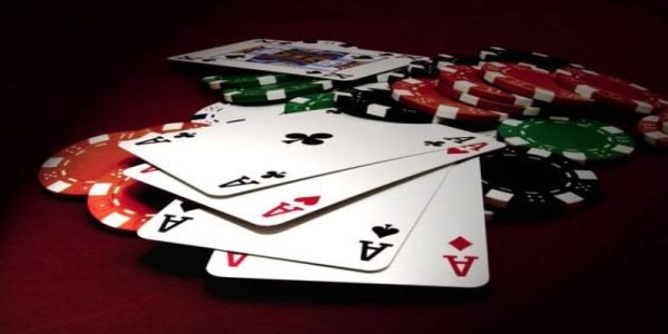 Người mới quan sát kết quả thật sự chủ động