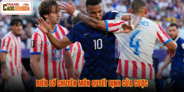 Trang cá độ bóng đá - Những điều cần biết về cá độ bóng đá online 5
