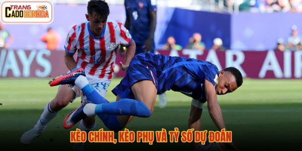 Trang cá độ bóng đá - Những điều cần biết về cá độ bóng đá online 6