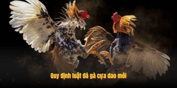 Quy định luật đá gà cựa dao mới