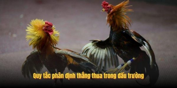 Quy tắc phân định thắng thua trong đấu trường