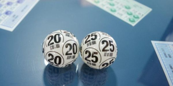 Tìm hiểu kinh nghiệm nuôi lô khung 3 ngày cho người mới