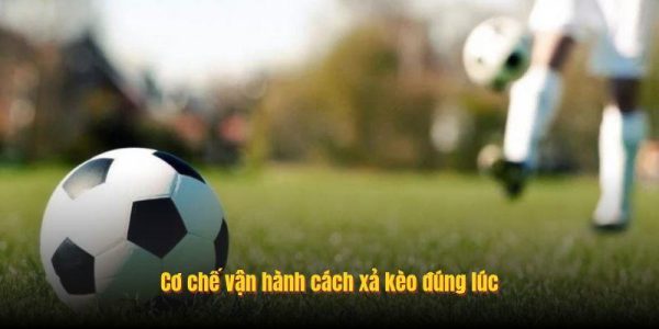 Cơ chế hoạt động của tính năng tất toán vé cược sớm