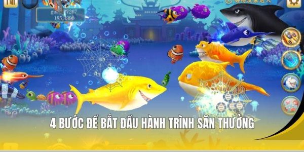 4 bước để bắt đầu hành trình săn thưởng