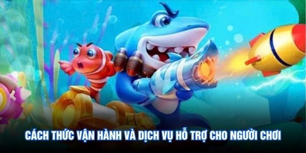 Cách thức vận hành và dịch vụ hỗ trợ cho người chơi