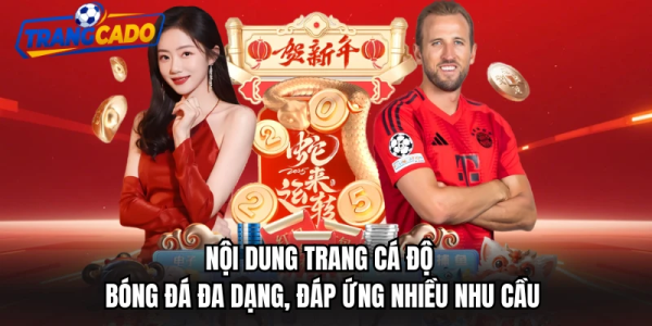 Cách Theo Dõi Thông Tin Bóng Đá Khách Quan