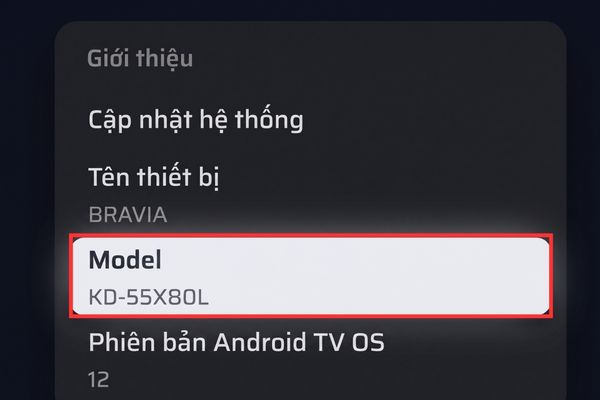 Nhìn kỹ dòng Model