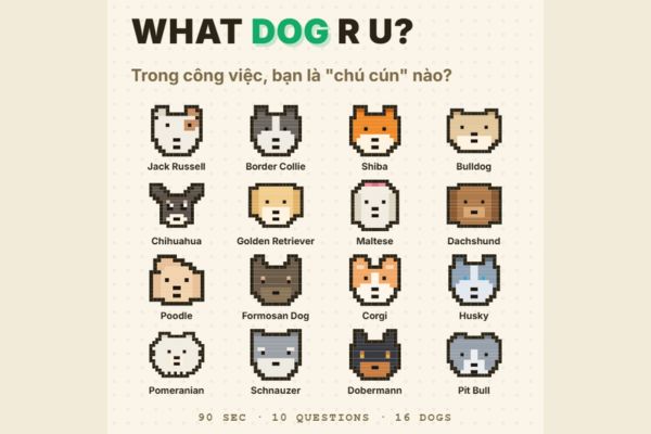 Test what breed of dog you are through 10 multiple choice questions