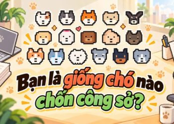 test bạn là giống chó nào